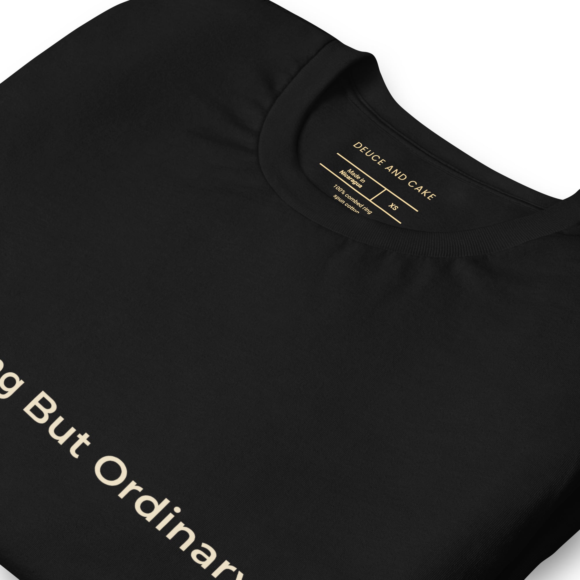 Black unisex t-shirt with the words, Anything But Ordinary on the front
